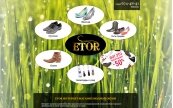etor-shoes